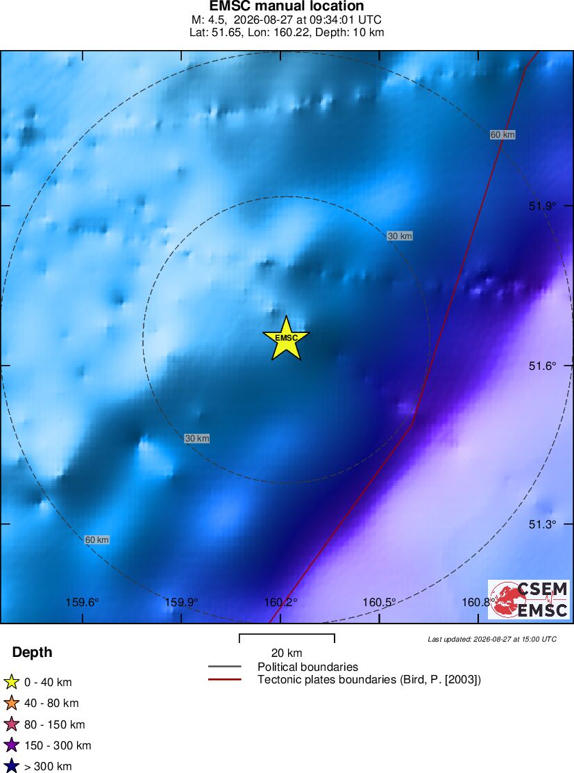 Local View
