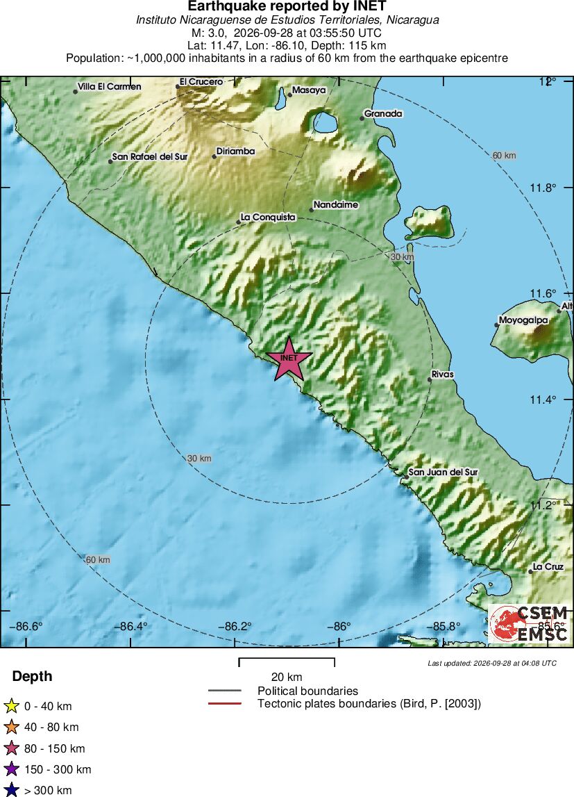 Local View