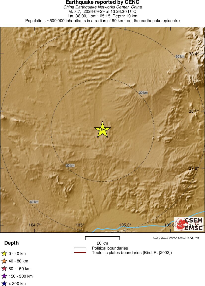 Local View