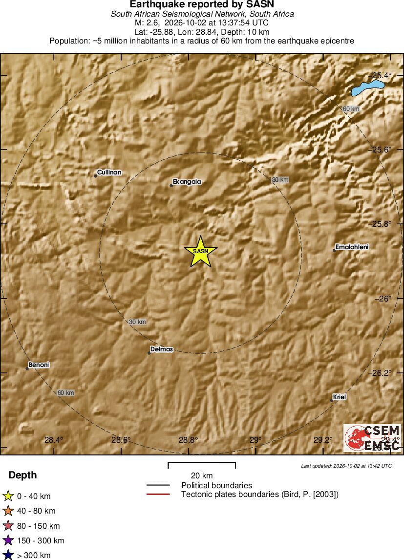 Local View