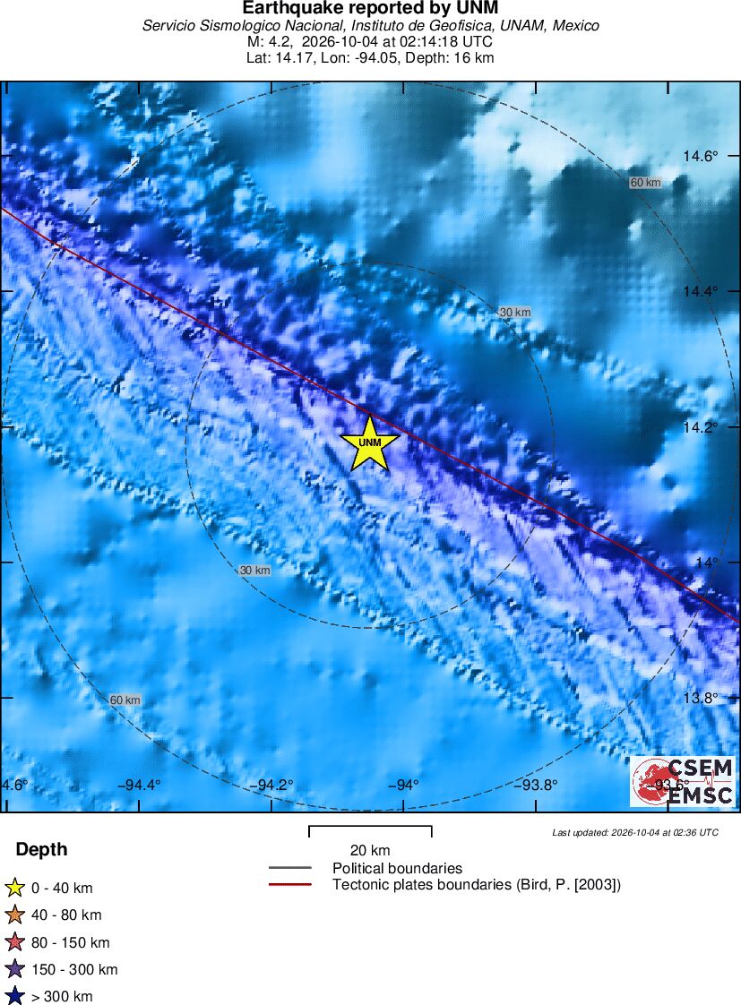 Local View