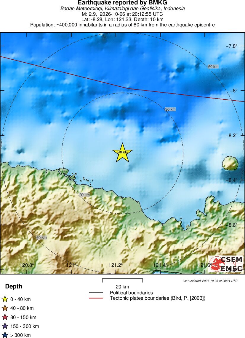 Local View