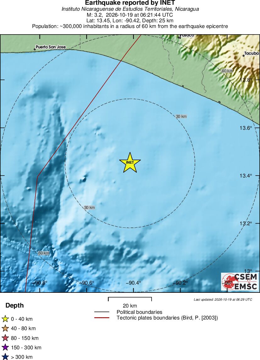 Local View