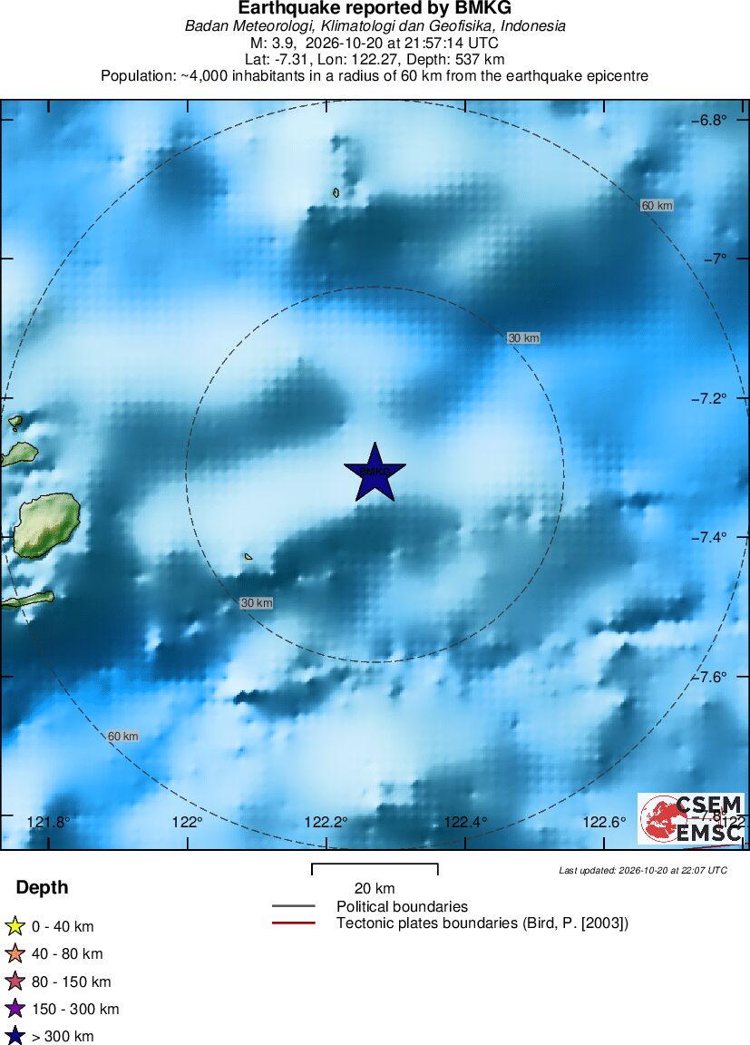 Local View