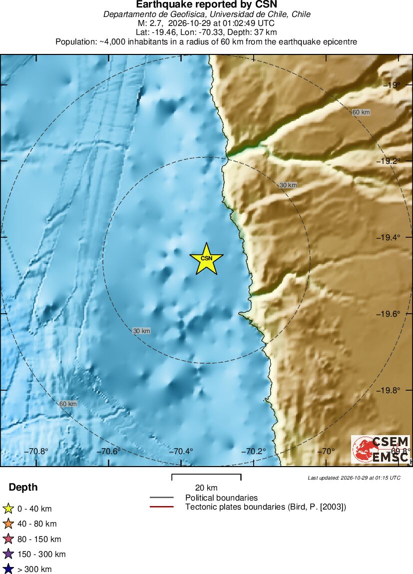 Local View