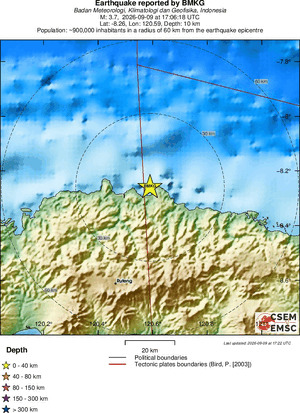 Local View
