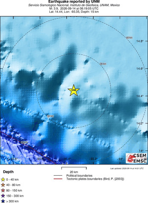 Local View