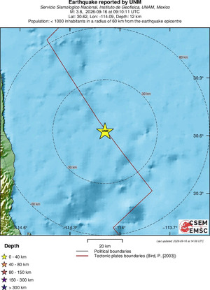 Local View