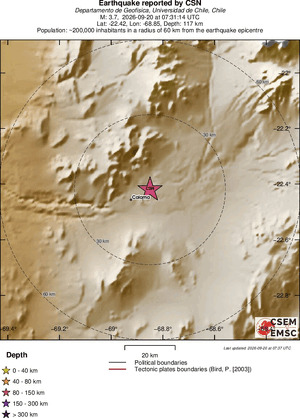 Local View
