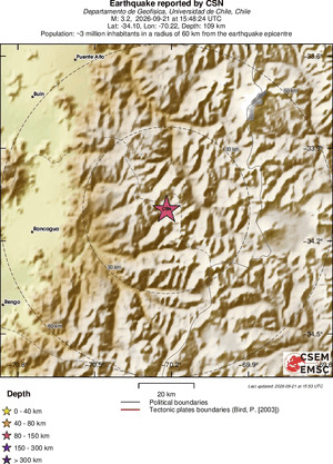Local View