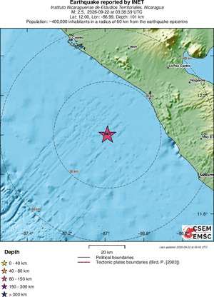 Local View
