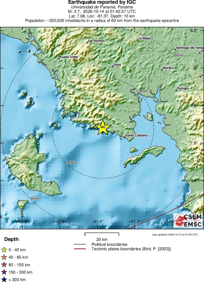 Local View
