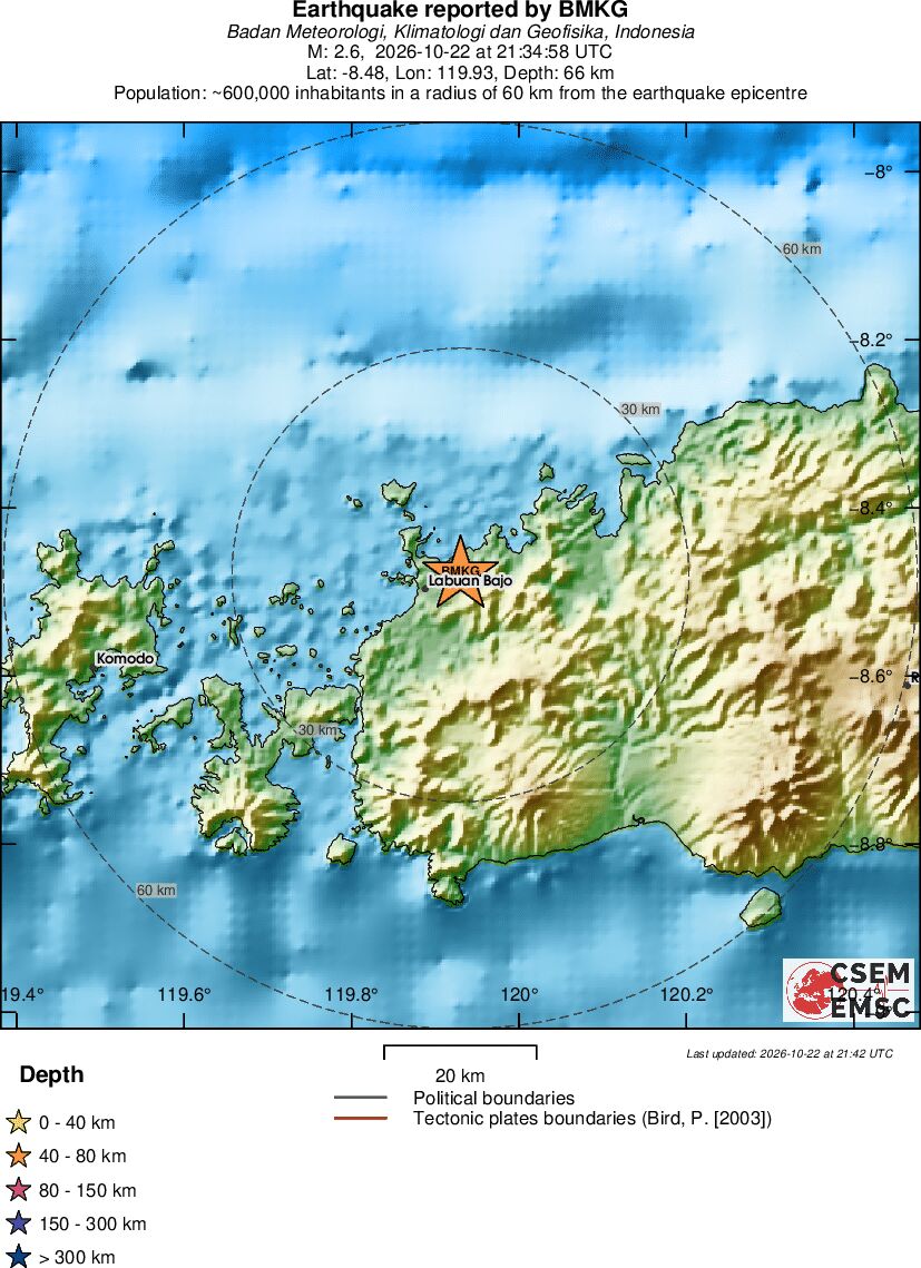 Local View
